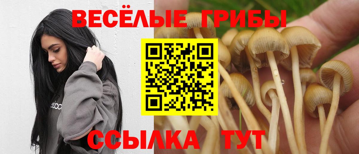 Лянтор  Галлюциногенные грибы Psilocybine cubensis  магазин  наркотиков  Вход с VPN  Галлюциногенные грибы Magic Shrooms 